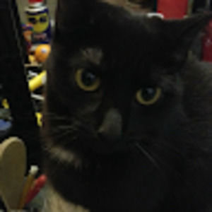 Meet your Posher, Mary